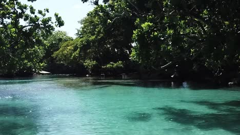 Blue-Lagoon-Vanuatu-Drohne,-Die-Zwischen-Bäumen-Tief-Ins-Wasser-Fliegt