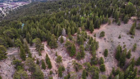 Aerial-view-of-a-mountain-with-many-pines-in-the-Estes-National-Park