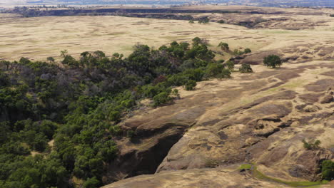 Luftaufnahme-Der-Atemberaubenden-Landschaft-Des-Tafelberges-In-Amerika,-Des-üppigen-Waldes-Und-Der-Grasbewachsenen-Wiese