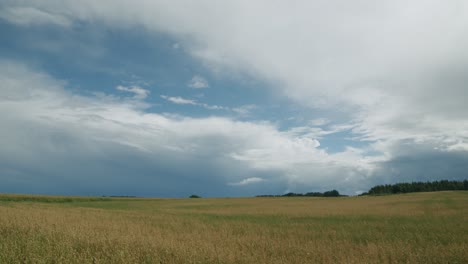 Fluffy-storm-rain-clouds-cumulonimbus-stratocumulus-time-lapse-with-oat-field-in-foreground