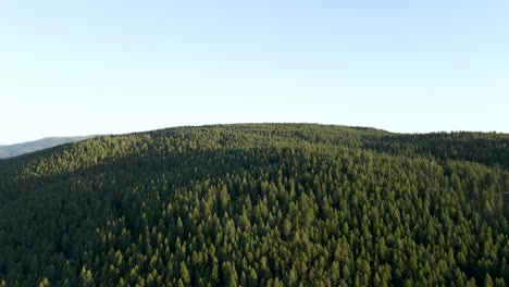 Aerial-view-over-dense-coniferous-pine-tree-forest,-near-Bigfork,-Montana---Copy-Space-for-Text