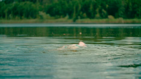 Joyful-boy-swimming-with-backstroke-style-on-the-freshwater-lake-with-forest-view-on-the-background