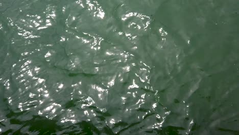 Green-ocean-waves-Rippled-water-with-suns-reflection