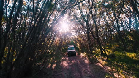 Zeitlupenfahrt-Des-Safarifahrzeugs,-Das-Bei-Sonnenstrahlen-Zwischen-Bäumen-Im-Nationalpark-Bergab-Fährt