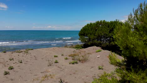Blue-sea-and-bright-sky-seen-from-sandy-beach-and-pine-trees-forest-in-seaside-of-Adriatic-in-Albania