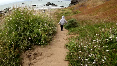 Lands-End-is-a-scenic-hiking-trail-that-hugs-the-coast-of-San-Francisco,-California