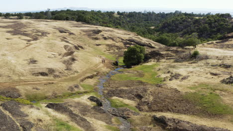 Wandergruppe-Erkundet-Natürliches-Grasland-Auf-Dem-Pfad-Rund-Um-Oroville,-Kalifornien