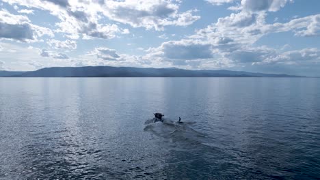 Aerial-view:-wakeboarding-in-Flathead-Lake,-Kalispell,-Montana,-slow-motion