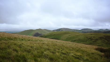 Sheep-grazing-in-the-distance-in-the-Pentland-Hills,-Scotland
