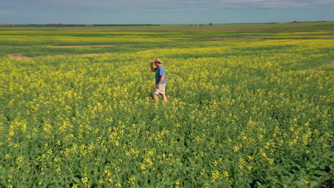 Un-Agricultor-Visitando-El-Campo-Agrícola-Plantado-Con-Canola-Sana-Y-Floreciente-En-Saskatchewan,-Canadá---Disparo-De-Drones