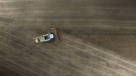 Combine-harvester-harvesting-wheat-in-Germany,-aerial-top-down-static-drone-view