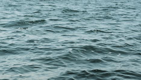 Overcast-ripple-of-water-surface.-Static-shot