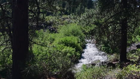 The-Deschutes-River-flowing-in-a-wooded-area-at-Lava-Island