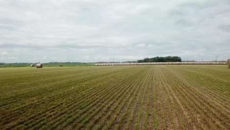 Low-flyover-of-harvest-hay-field-and-sweeping-views-of-corn-fields-in-rural-South-Dakota
