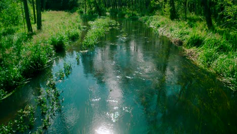 Das-Klare-Wasser-Des-Ruhigen-Flusses-Ist-Irgendwo-Im-Wald,-Spiegelung-Der-Sonne-Auf-Dem-Wasser