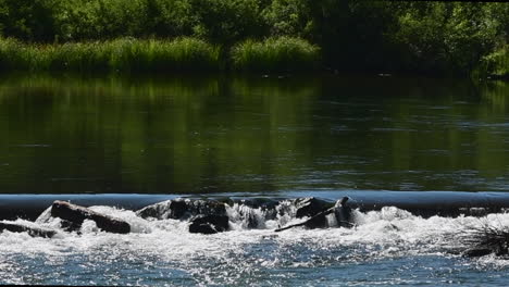 Agua-Que-Fluye-Sobre-Un-Tronco-Y-Rocas-En-El-Río-Deschutes,-Oregon-En-La-Isla-De-Lava
