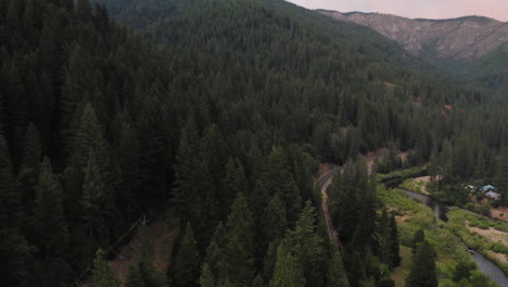 Aerial-of-pine-tree-forest-on-mountain-slope-in-America