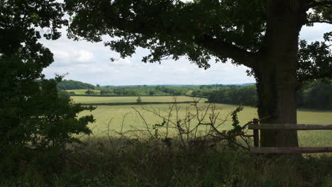 Wind-Weht-Durch-Bäume,-Die-Eine-Ländliche-Szene-Von-Ackerland-In-Der-Landschaft-Von-Warwickshire,-England,-Großbritannien-Umrahmen
