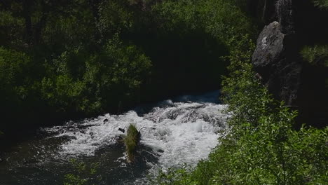 Kaskadierendes-Wasser-Der-Lavainsel-Im-Deschutes-River,-Oregon