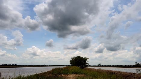 Reisfelder,-Wolken-Und-Vogelsilhouetten