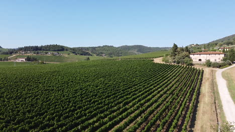 Reveal-shot-of-wide-green-vineyards,-Tuscany-province,-Italian-countryside