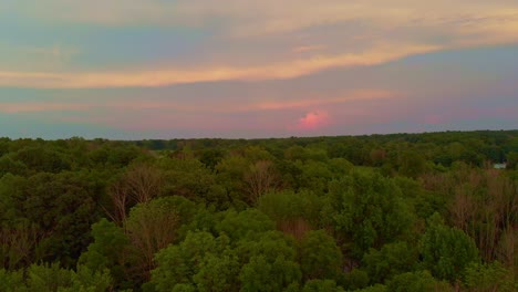 Drone-flight-over-tree's-with-sunset