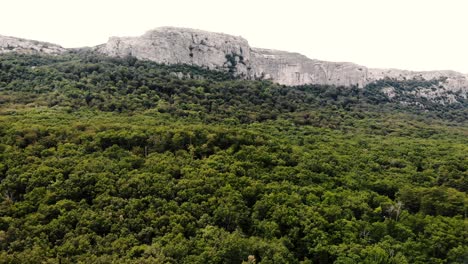 Drohnenaufnahme-Des-Waldes-Sainte-Baume,-Des-Berges-Und-Der-Maria-Magdalena-Höhle-In-Der-Provence,-Südfrankreich