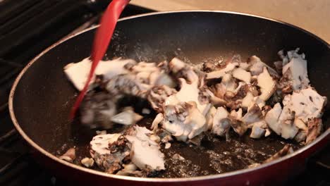 Close-up-of-sauteing-maitake-mushrooms-in-butter-and-skillet-in-a-tiny-home-kitchen