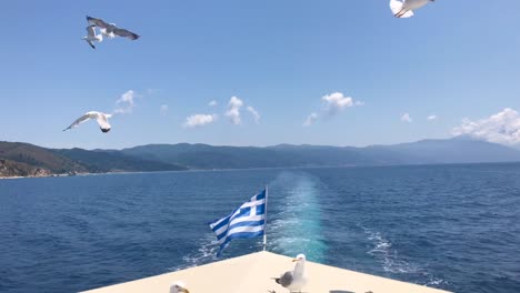 Closeup-of-seagulls-landing-on-the-deck-of-Greek-cruise-ship-on-Mediterranean-sea-in-4k-along-Athos-coast