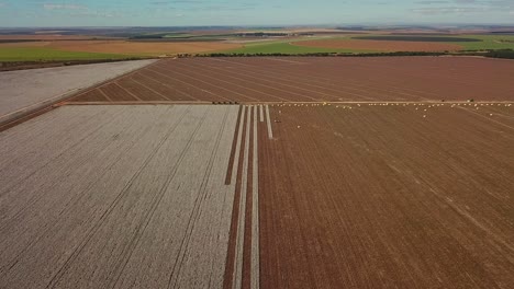 High-altitude-aerial-shot-of-a-partially-harvested-cotton-field-in-rural-Brazil