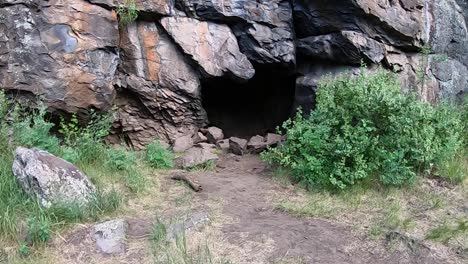 POV,-run-through-the-forest-to-the-safety-of-a-cave,-Northern-Arizona