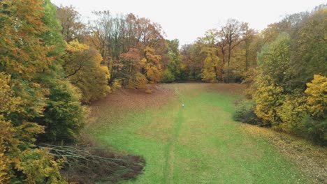 Mann-Steht-Still-Mitten-Im-Park-Und-Genießt-Den-Blick-Auf-Die-Herbstlichen-Bäume