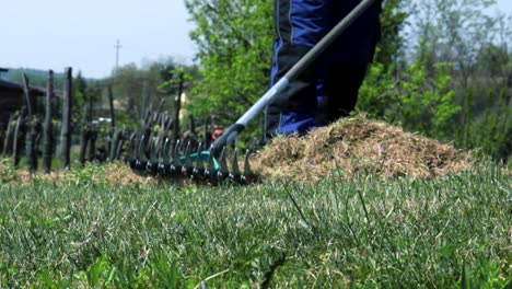 Gardener-in-action-removing-dry-grass-with-Thatch-Rakes-on-his-lawn-in-the-beginning-of-the-spring,-to-keep-his-lawn-in-good-condition
