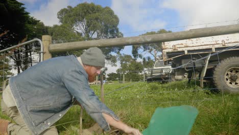 A-shot-panning-across-farmland-in-Victoria-Australia-as-a-man-uses-tools-to-push-stakes-into-the-ground-while-planting-trees
