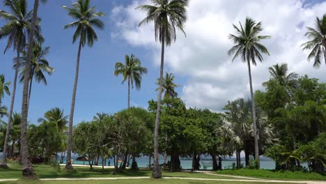 Beautiful-Landscape-Of-Green-Lawn-And-Lush-Growing-Trees-In-Dos-Palmos-Island-Resort-In-Puerto-Princesa,-Palawan,-Philippines---Wide-Shot