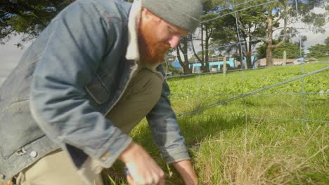 A-shot-panning-down-on-a-bearded-ginger-man-planting-on-farmland