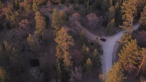 Off-road-vehicle-driving-through-forest-mountain-dirt-track,-aerial-view