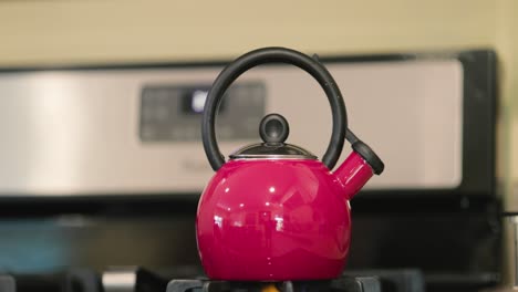 Tea-kettle-heating-up-on-a-stove-top