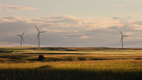 Stunning-grass-landscape-illuminated-by-soft-sunlight-with-windmills-on-horizon