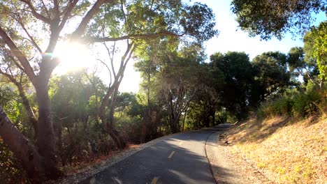 Andar-En-Bicicleta-Por-Un-Pintoresco-Sendero-Para-Bicicletas-En-Un-Día-Cálido-Y-Soleado