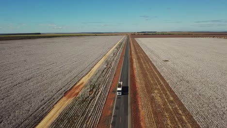 Descending-drone-shot-over-a-country-road-surrounded-by-cotton-fields