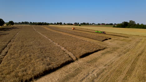 Harvesters-and-tractors-working-in-tandem-to-harvest-the-barley-grain
