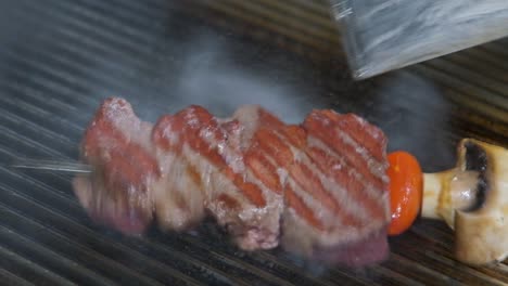 Close-up-of-a-beef-and-vegetable-kabob-cooking-on-the-BBQ