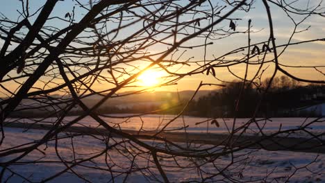 Beautiful-winter-Sunset-is-shining-through-tree-Branches-without-leafs