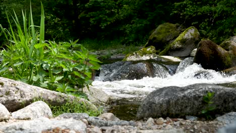 Water-flews-down-a-little-waterfall-in-a-wild-river-in-upper-austria