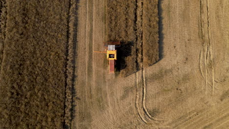 Stunning-top-down-view-of-a-combine-harvester-working-hard-in-the-barley-fields-of-Poland