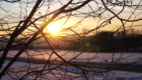 Breathtaking-winter-Sunset-is-shining-through-tree-Branches-without-leafs