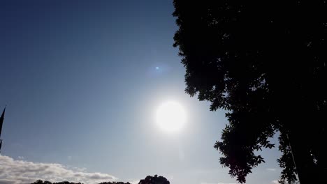 Sol-Súper-Brillante-Con-árbol-De-Silueta-Y-Cielo-Azul,-Cámara-Lenta,-Sydney