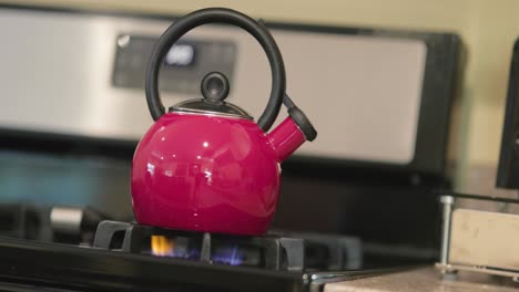 Tea-kettle-heating-up-on-a-stove-top