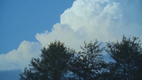 Un-Lapso-De-Tiempo-De-Nubes-Blancas-Hinchadas-Que-Pasan-Y-Se-Transforman-Rápidamente-Sobre-árboles-De-Hoja-Perenne